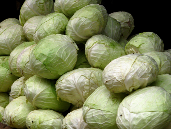 Cabbage