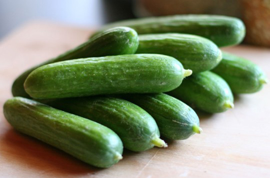 Cucumber