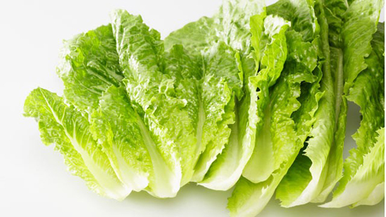 Lettuce